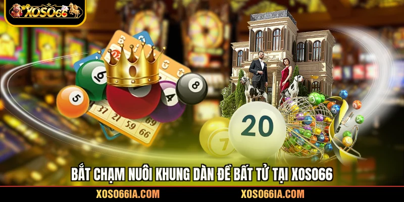 Bắt chạm nuôi khung dàn đề bất tử tại Xoso66